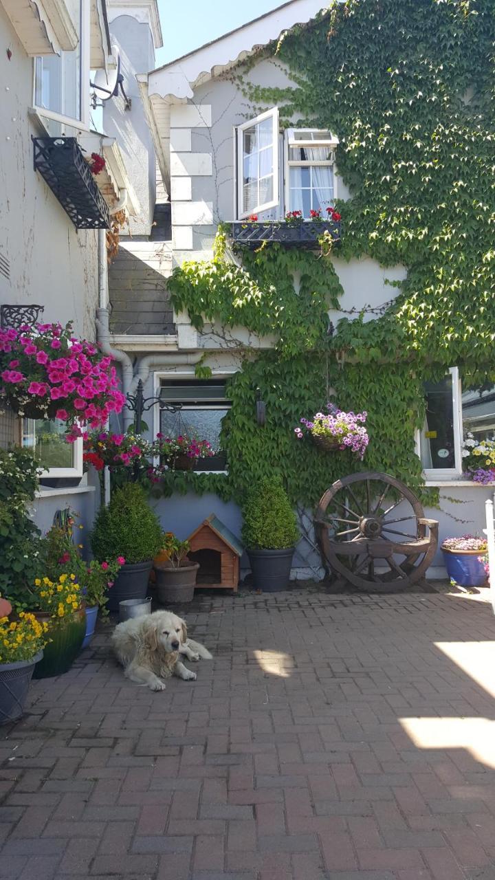 Brandon View House B&B Graiguenamanagh Exterior foto